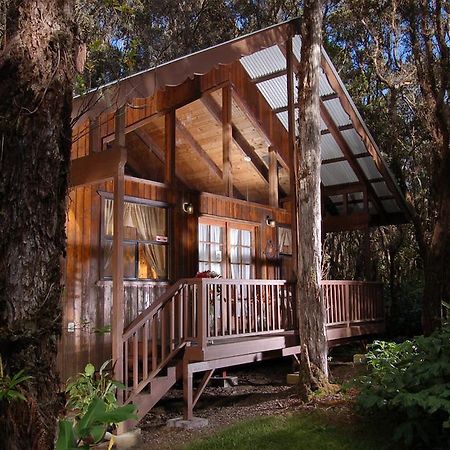 Lava Lodge At Hale Kilauea Volcano Ruang foto